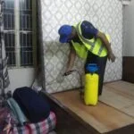 “10 Effective Bed Bug Control Solutions to Get Rid of Bed Bugs for Good”