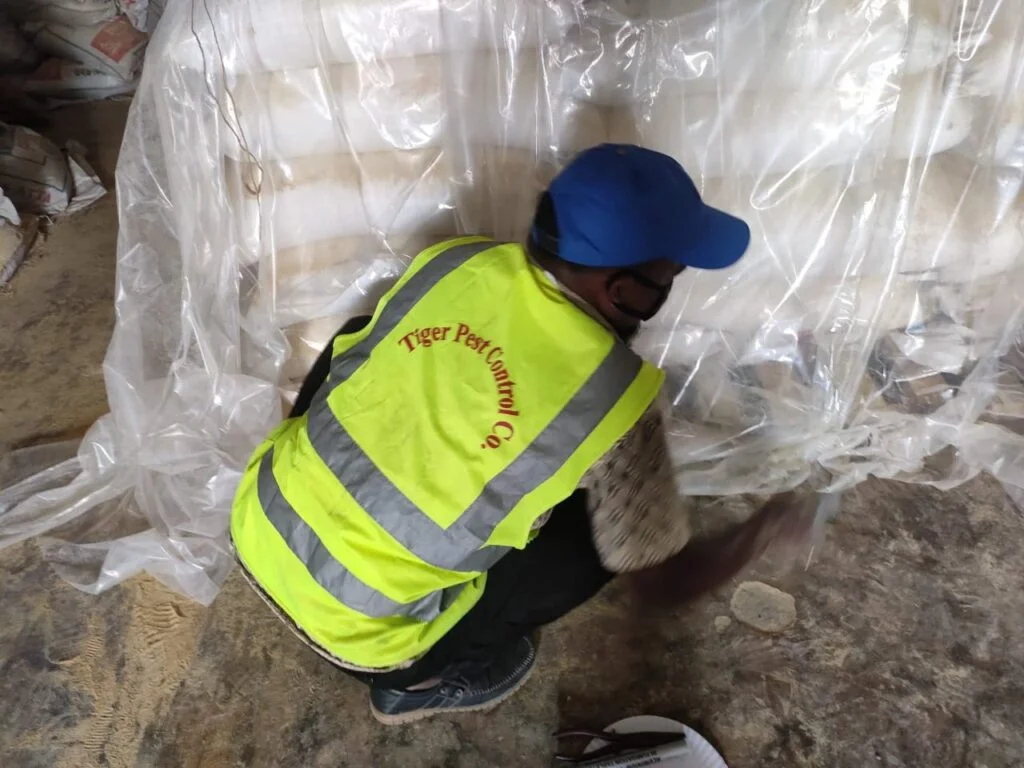 fumigation service