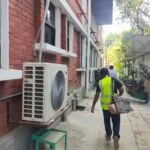 mosquito control services